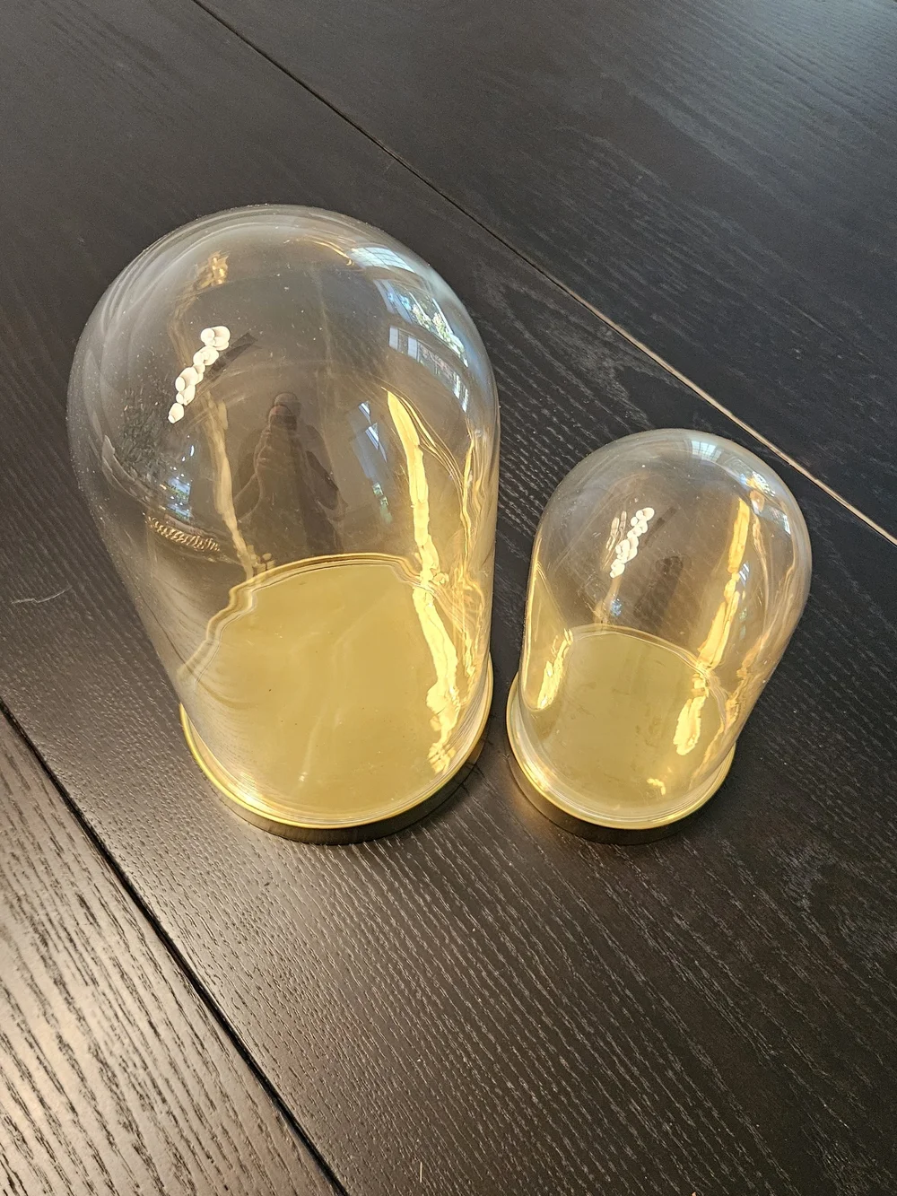 Set of Two Glass Dome Cloche with Gold Base - Clear/Gold